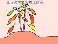 ̖؍͔|Q