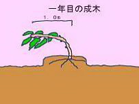 ̖؍͔|X