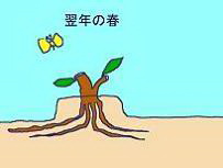 ̖؍͔|PQ