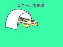 ͔̉|