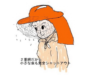 Xq