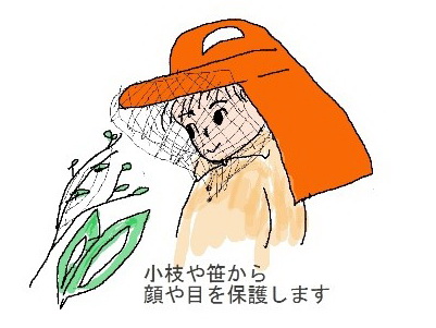 Xq