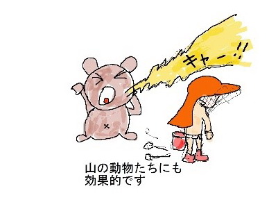 Xq