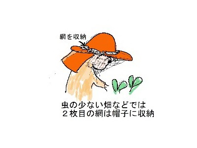 Xq