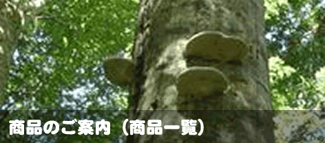 NHނ̂iꗗ