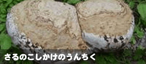 ̂̂񂿂