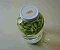 NHނ܂сi}^^rj̗p@