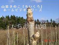 ̉i^̉j