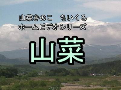 ̉i^̉j